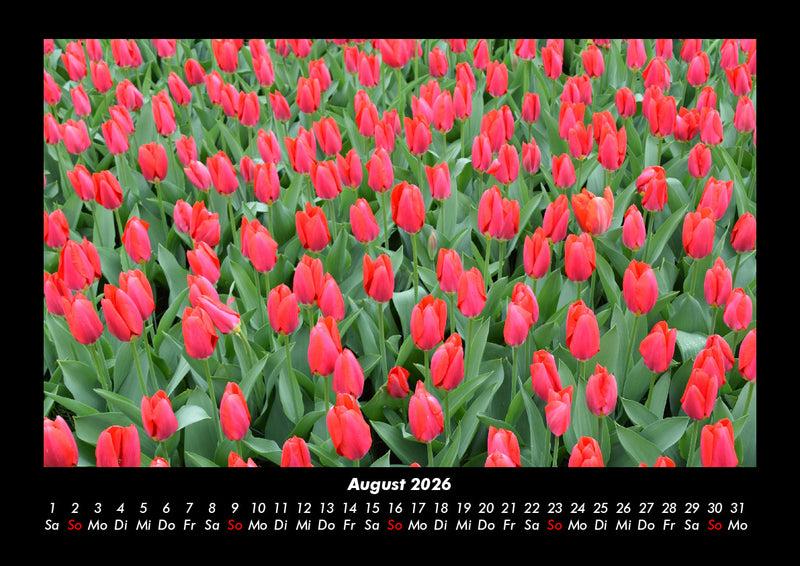 Blumenzauber Fotokalender 2026 - 8