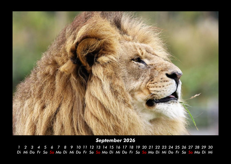 Welt der Tiere Fotokalender 2026 - 9