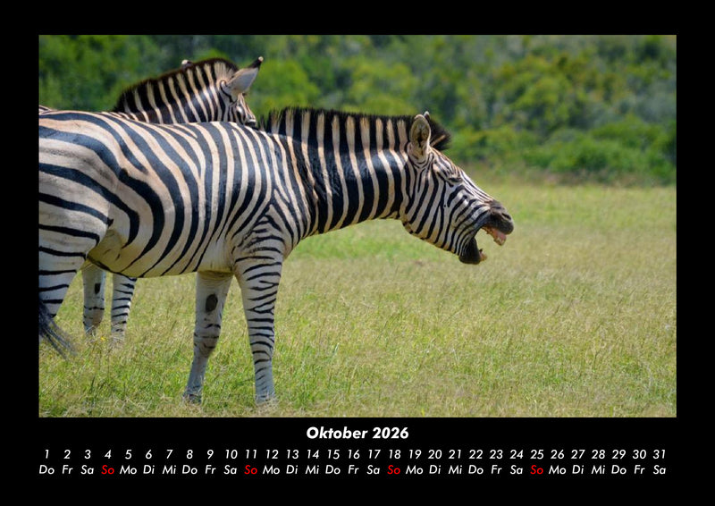 Welt der Tiere Fotokalender 2026 - 10