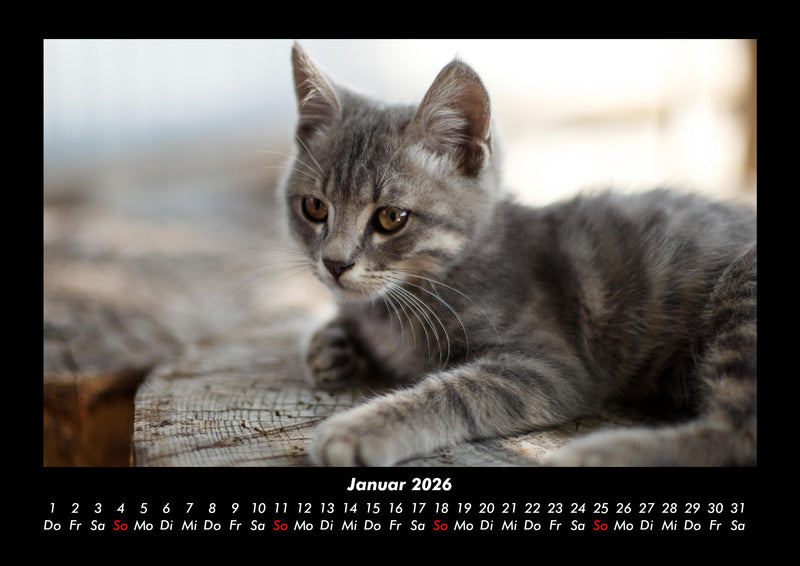 Welt der Tiere Fotokalender 2026 - 1