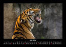 Welt der Tiere Fotokalender 2026 - 7