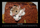 Welt der Tiere Fotokalender 2026 - 8