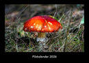 Pilzkalender Fotokalender 2026 - Hauptbild