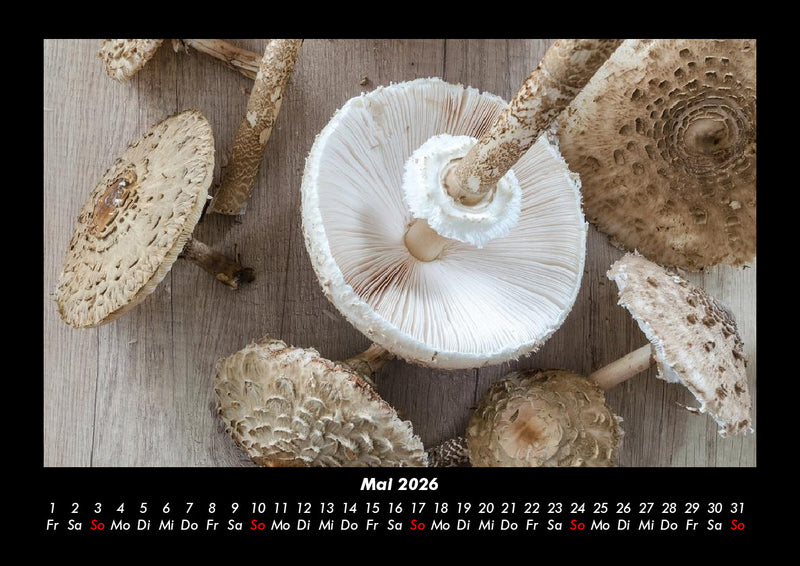 Pilzkalender Fotokalender 2026 - 5