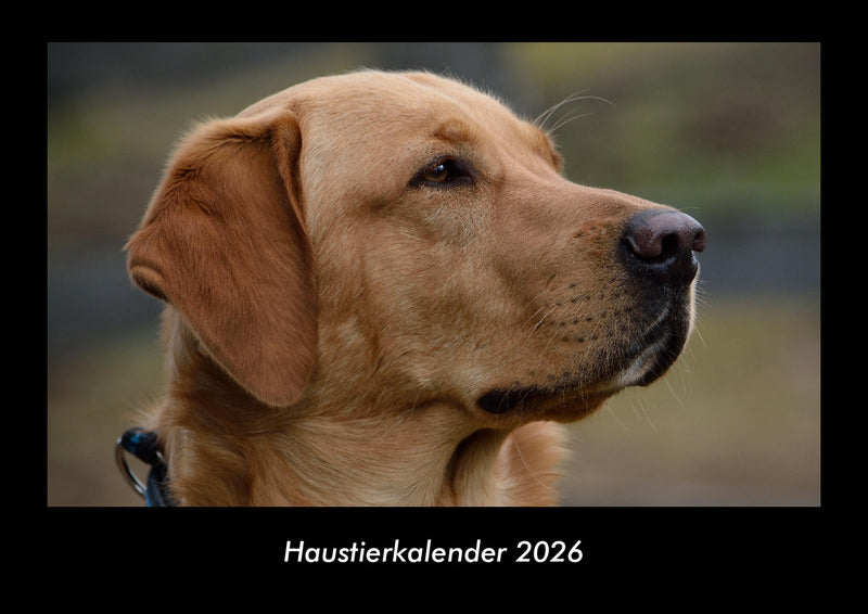 Haustierkalender Fotokalender 2026 - Hauptbild