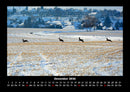 Bilder der Natur Fotokalender 2026 - 12