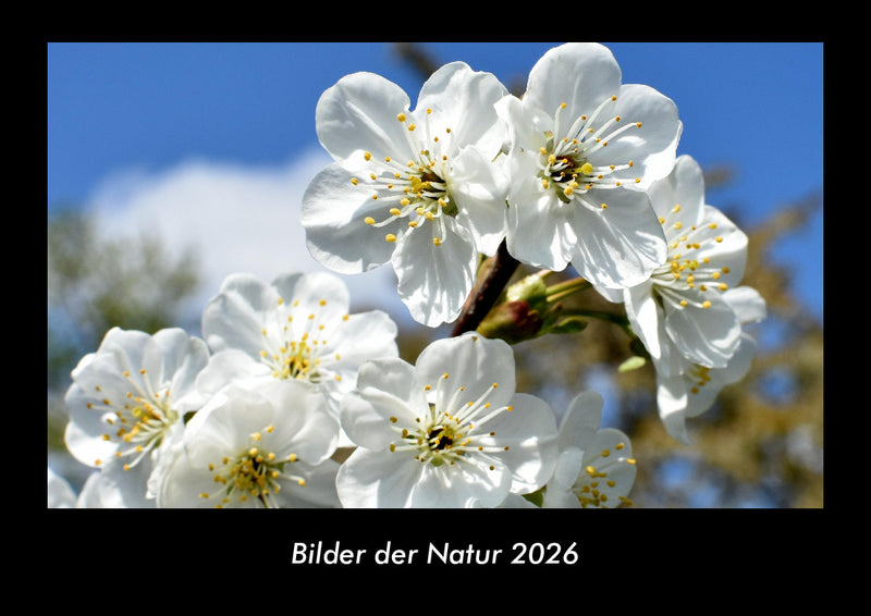 Bilder der Natur Fotokalender 2026 - Hauptbild
