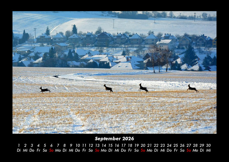 Blick in die Natur Fotokalender 2026 - 9