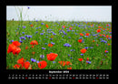 Pflanzen und Blüten Fotokalender 2026 - 9