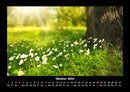 Pflanzen und Blüten Fotokalender 2026 - 10