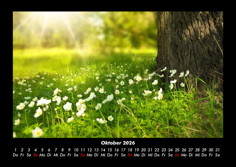 Pflanzen und Blüten Fotokalender 2026 - 10
