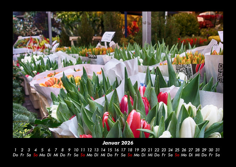 Pflanzen und Blüten Fotokalender 2026 - 1