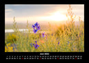 Pflanzen und Blüten Fotokalender 2026 - 6