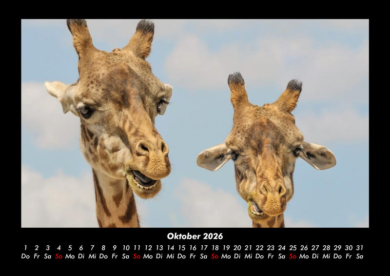 Der Tierkalender Fotokalender 2026 - 10