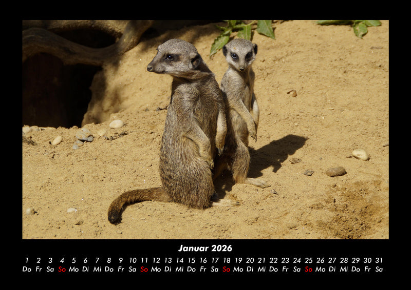 Der Tierkalender Fotokalender 2026 - 1