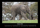 Der Tierkalender Fotokalender 2026 - 2