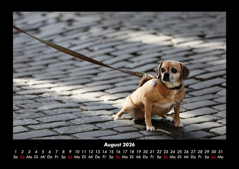 Der Tierkalender Fotokalender 2026 - 8