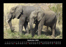 Der Elefantenkalender Fotokalender 2026 - 9