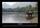 Der Elefantenkalender Fotokalender 2026 - 6