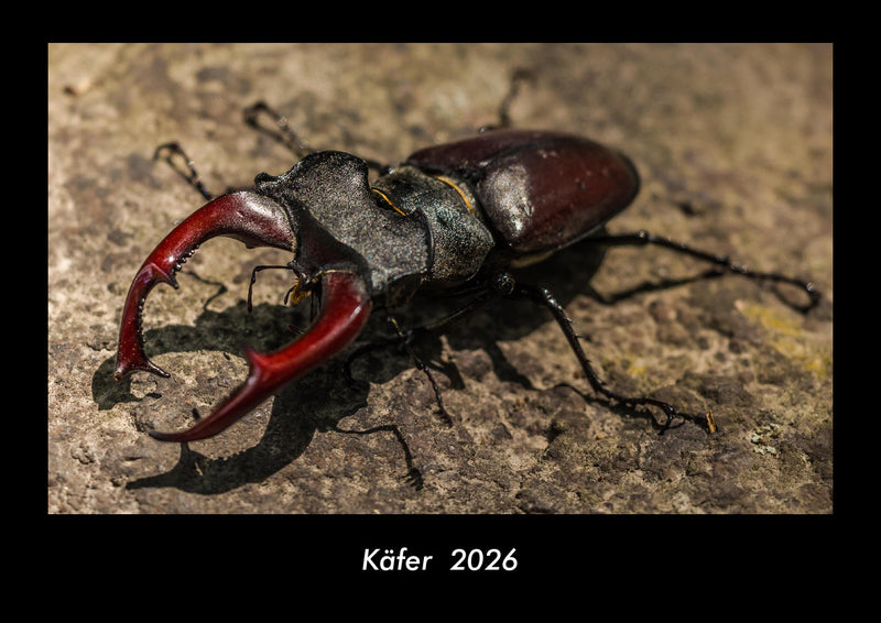 Käfer  Fotokalender 2026 - Hauptbild