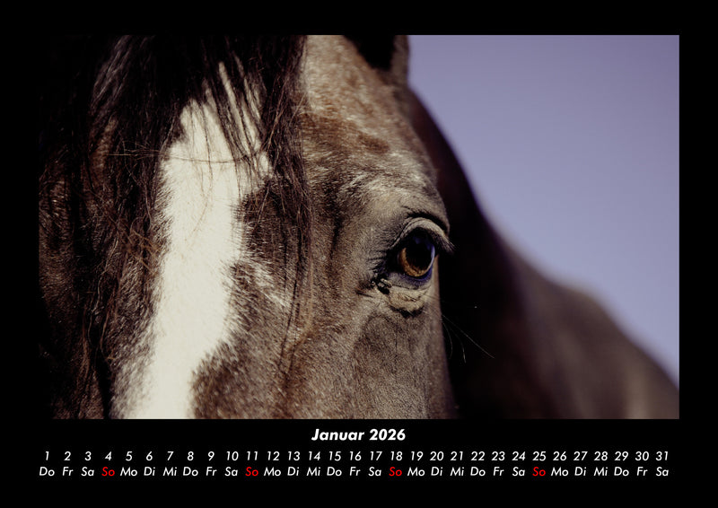Pferdegeflüster Fotokalender 2026 - 1