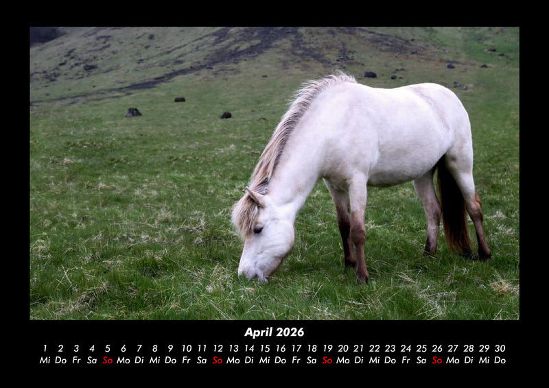 Pferdegeflüster Fotokalender 2026 - 4
