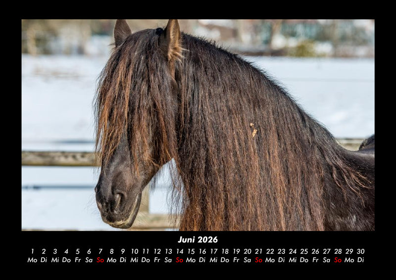 Pferdegeflüster Fotokalender 2026 - 6