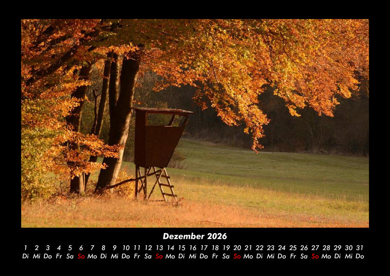 Waldzauber Fotokalender 2026 - 12