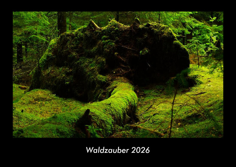 Waldzauber Fotokalender 2026 - Hauptbild