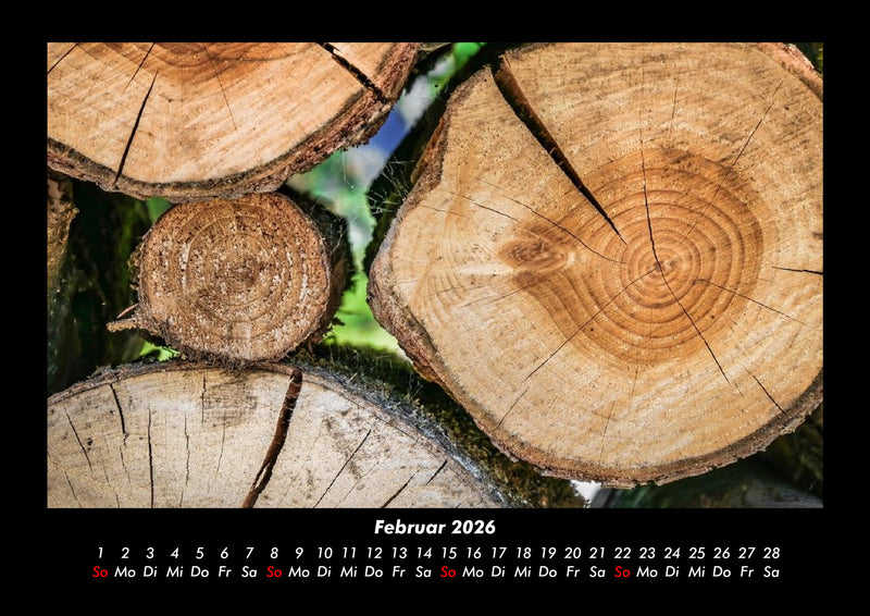 Waldzauber Fotokalender 2026 - 2