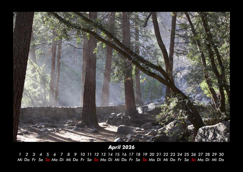 Waldzauber Fotokalender 2026 - 4