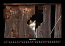 Für Katzenfreunde Fotokalender 2026 - 5