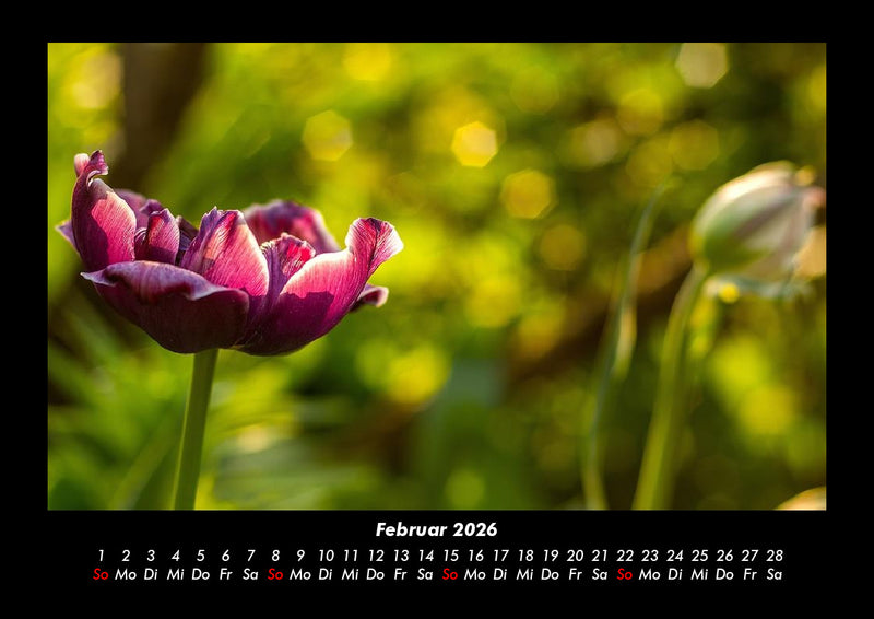 Naturlandschaften Fotokalender 2026 - 2