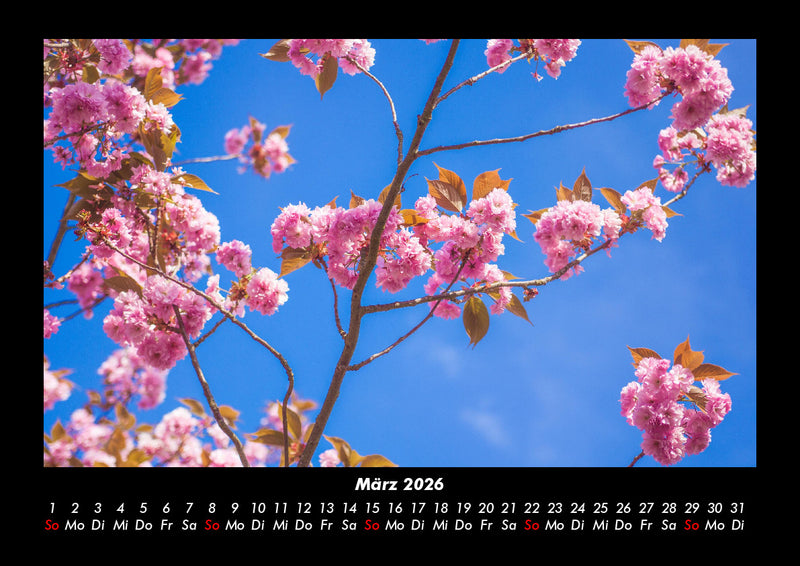 Naturlandschaften Fotokalender 2026 - 3