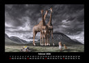 Mit Fantasy durch's Jahr Fotokalender 2026 - 2
