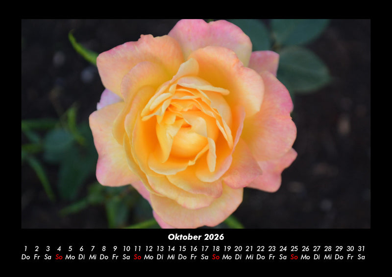 Blumenkalender Fotokalender 2026 - 10