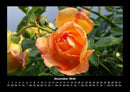 Blumenkalender Fotokalender 2026 - 12
