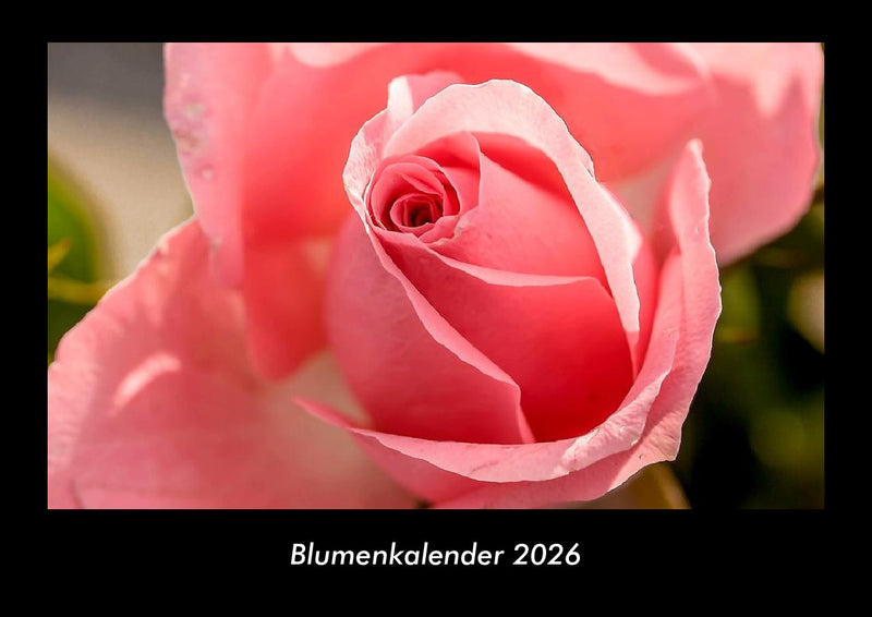 Blumenkalender Fotokalender 2026 - Hauptbild