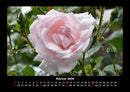 Blumenkalender Fotokalender 2026 - 2