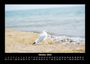 Meereslandschaft Fotokalender 2026 - 10