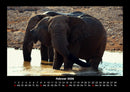 Elefanten - Die sanften Riesen Afrikas Fotokalender 2026 - 2