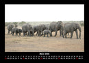 Elefanten - Die sanften Riesen Afrikas Fotokalender 2026 - 3