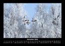 Winterzauber Fotokalender 2026 - 12