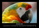 Vogelparadies Fotokalender 2026 - 11