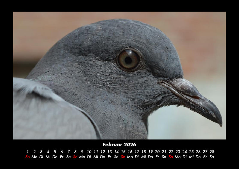 Vogelparadies Fotokalender 2026 - 2