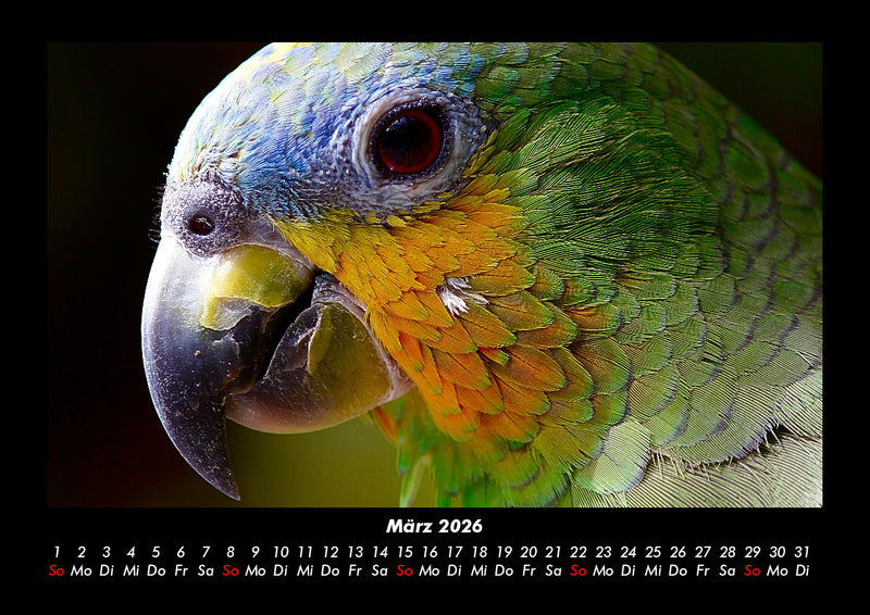 Vogelparadies Fotokalender 2026 - 3