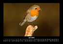 Vogelparadies Fotokalender 2026 - 7