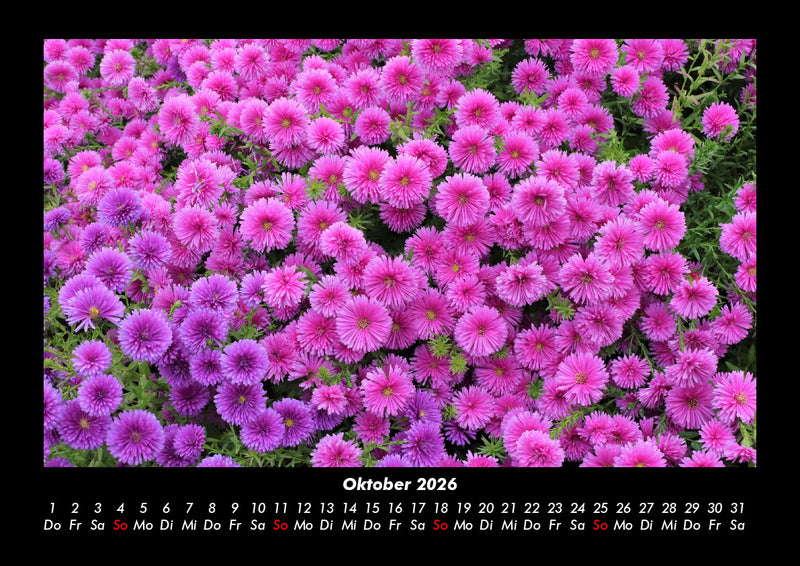 Blumenträume Fotokalender 2026 - 10