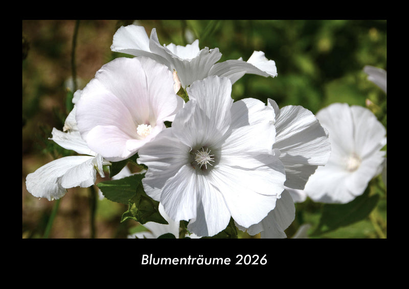Blumenträume Fotokalender 2026 - Hauptbild
