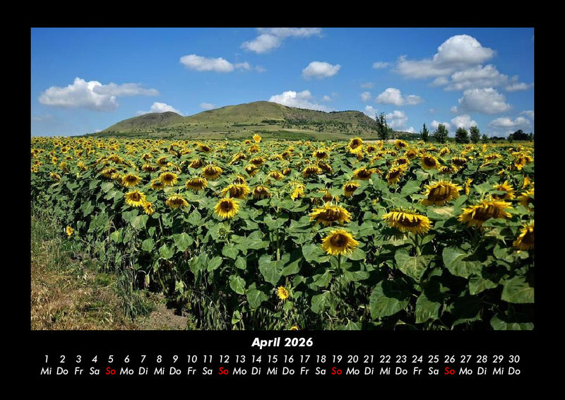 Blumenträume Fotokalender 2026 - 4